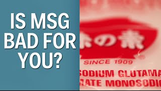 Is MSG Bad For You [upl. by Ihpen]