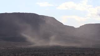 Locust swarm in the Karoo National Park [upl. by Hartzell171]