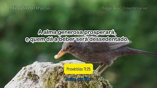 A alma generosa prosperará e quem dá a beber será dessedentado  Provérbios 1125 [upl. by Yengac]