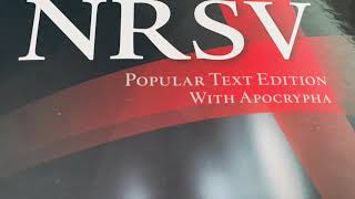 1 Esdras NRSV Bible Chapter 7 Apocryphal Audiobook [upl. by Darline76]