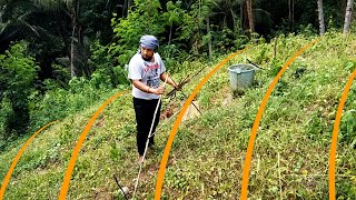 CONTOUR LINE LAYOUTING USING AFRAME  Permaculture and Sloping Agricultural Land Technology SALT [upl. by Haimaj673]