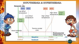 Hypothermia vs Hyperthermia [upl. by Nosnar]