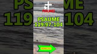 PSAUME 11997104 [upl. by Notgnilra290]