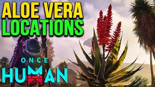 Aloe Vera Locations in Once Human [upl. by Aleedis]