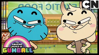 Imitation Is The Sincerest Form Of Flattery  The Copycats  Gumball  Cartoon Network [upl. by Nonnad852]