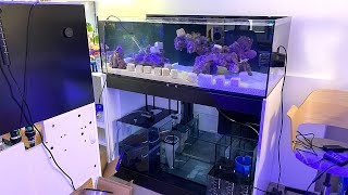 New Reef Tank Build  Waterbox 1054 Frag  Part 2 Aquascape and Cycle [upl. by Ilyah]