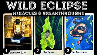 💥WILD Eclipse Miracles amp Breakthroughs ⭐️⭐️⭐️⎮pick a card 🃏 tarot reading [upl. by Neelak]