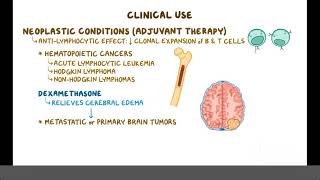 Glucocorticoids Pharmacology [upl. by Aicilyt]