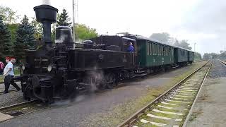 Dampfzug im Bahnhof Luzna mit Dampflok 354195 [upl. by Hurty512]