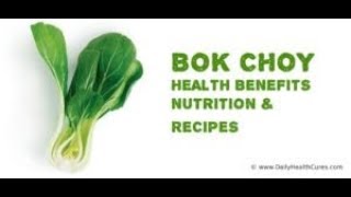 Bok Choy Benefits Nutrition and How to Eat [upl. by Erret108]