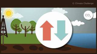 Climate Challenge questce que le cycle du carbone [upl. by Narod]