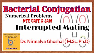 Interrupted mating gene mapping problems Bacterial conjugation [upl. by Izak]