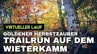 Virtueller Lauf 19 min  Trailrun auf dem Wieterkamm Goldener Herbstzauber  Laufband Virtual Run [upl. by Suolkcin114]