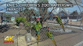 Knies Childrens Zoo Rapperswil Switzerland Parrots [upl. by Hesper]