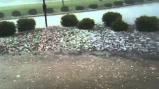 Hail Storm East End of Louisville [upl. by Ermengarde]