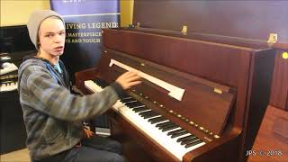 Bechstein vs W Hoffmann Uprights [upl. by Allen805]