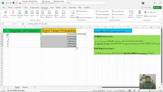 CHISQDISTRT with IFERROR IF Function in Advance Excel in Hindi apnadigitaladvancecomputeretah [upl. by Yttel]