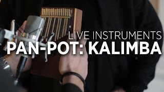 PanPot Studio Interview Using A Kalimba In Your Productions [upl. by Turpin]