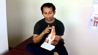 Patellar Tendonitis Massage Treatment  Manu Kalia  Video 141  TridoshaWellness [upl. by Adnalram]