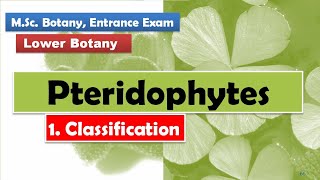 Classification  Pteridophytes [upl. by Alleira]