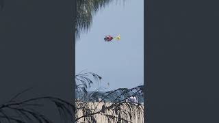 Westpac Lifesaver Helicopter Rescuing Somebody [upl. by Nered60]