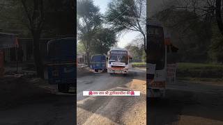 BIG LION PALIWAL TRAVELS 🔥🔥🔥 shorts bus youtubeshorts automobile volvobus [upl. by Dam178]