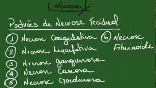 Necrose Apoptose Pigmentações e Calcificações  Resumo  Patologia Geral [upl. by Geithner]