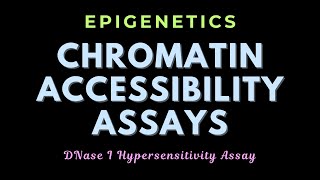 DNase I hypersensitivity assay  Chromatin remodeling assays  Epigenetics  GATECSIRNET [upl. by Annola]