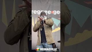 Cimarons  Reggae Geel 2024 [upl. by Atinomar]