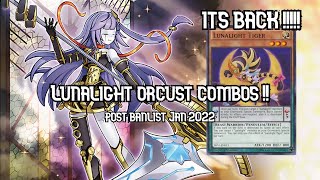 Lunalight Orcust combos Post January 2022 Banlist Yugioh [upl. by Trula514]