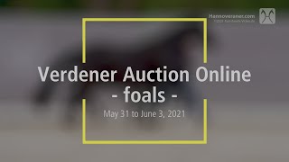 Verden Auction Online  Foals  on June 3rd 2021 [upl. by Jolene]