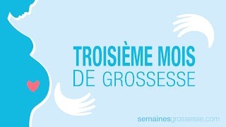 Troisième mois de grossesse  Mois 3 de grossesse  La grossesse mois par mois [upl. by Ardyce445]