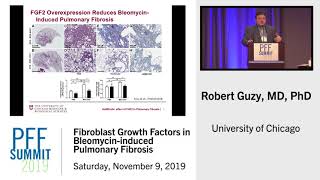 Fibroblast Growth Factors in Bleomycininduced Pulmonary Fibrosis  Robert Guzy MD [upl. by Geithner295]