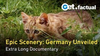 Wild Germany Scenic Journey from the Black Forest to the Coastlines  Extra Long Documentary [upl. by Esimehc733]