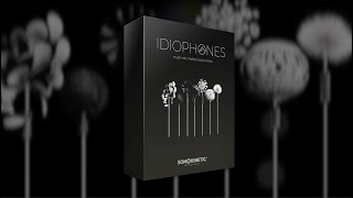 Idiophones  Overview [upl. by Nuahsar]