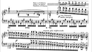 Franz Liszt Études dexécution transcendante daprès Paganini S140 No 4b [upl. by Kaehpos]