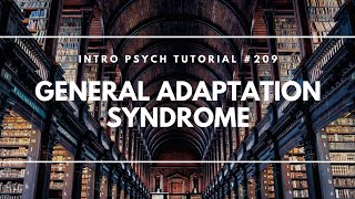 General Adaptation Syndrome Intro Psych Tutorial 209 [upl. by Faso]