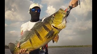 Pesca de Pavón Caruachi [upl. by Beard]