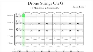 Drone Strings On G  Intonation for Violin Viola amp Cello [upl. by Oirobil]