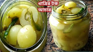 ধাত্রির টক আচার এই ভাবে বানিয়ে নিন।।Amla pickle recipe [upl. by Jonie]