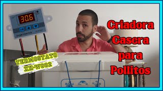 🛠️ Como HACER una criadora de pollos casera con termostato XHW3002 2020 [upl. by Loggia296]