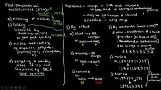 BIOCHEM 33  Posttranslational Modifications PTMs [upl. by Devland]