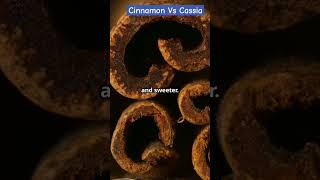 Cinnamon Vs Cassia  Farm Modernization  How to Find True Cinnamon viral shorts facts [upl. by Oicnedurp650]