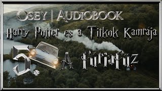 Harry Potter és a Titkok Kamrája hangoskönyv  5 fejezet [upl. by Jenelle]