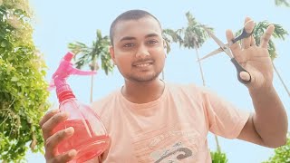 ASMR Haircut SuperFast [upl. by Chatterjee]