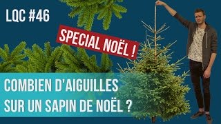 Combien daiguilles sur un sapin de Noël  LQC 46 [upl. by Jerol]