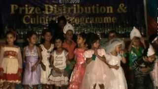 cultural programme of ghp school birgunj nepal [upl. by Fae]