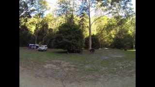 Telegherry Forest Park Camping Ground Upper Allyn [upl. by Dlnaod982]