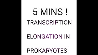 Transcription In Prokaryotes ELONGATIONIn Malayalamsubtitle in English [upl. by Naraa734]