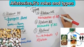 AflatoxinsMycotoxinsFull explaination in Hindi biochemistry [upl. by Lemrahs]